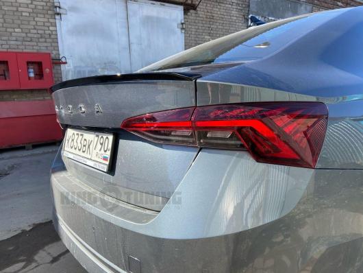 Спойлер + козырек Skoda Octavia A8 (под покраску)